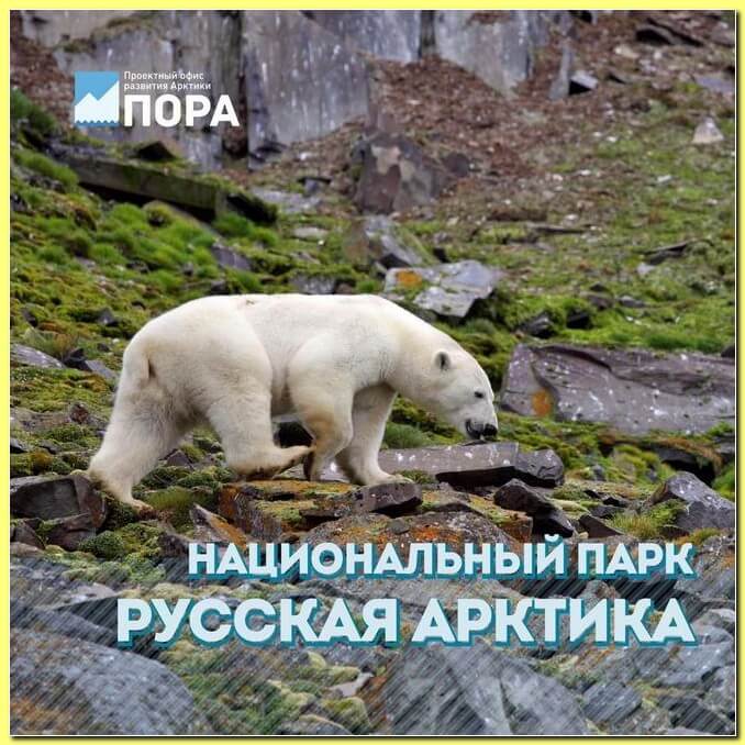 Национальный парк Русская Арктика